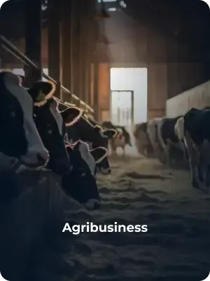 Agribusiness