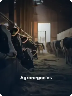 Agronegocios