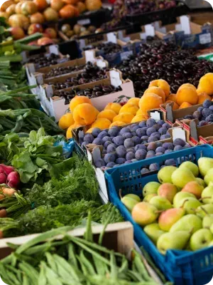 Comércio de Alimentos