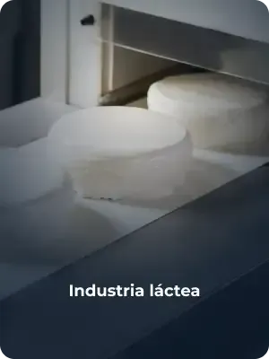 Industria láctea