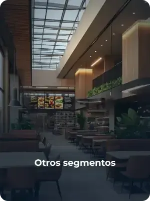 Otros segmentos