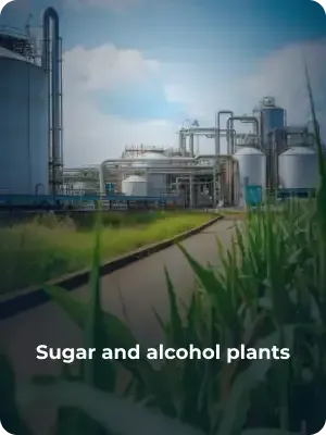 Sugar and Alcohol Plants