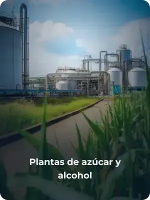 Plantas de azúcar y alcohol