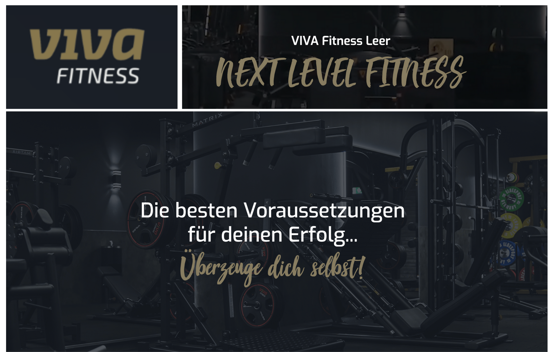 VIVA Fitness