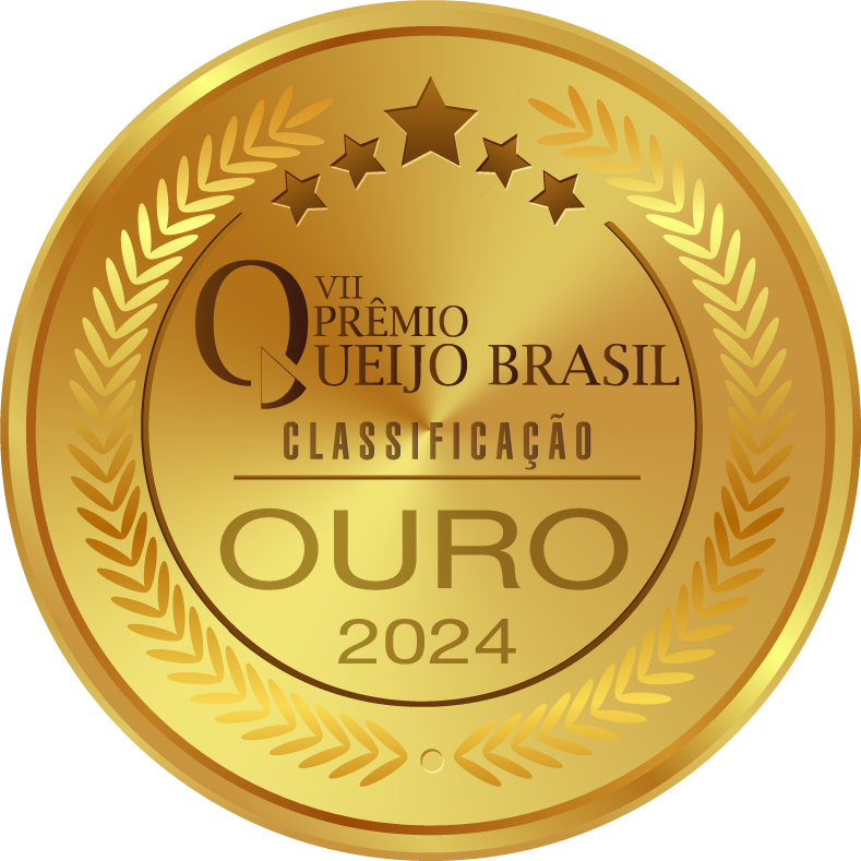 Uma medalha de ouro que diz ouro 2024 nela
