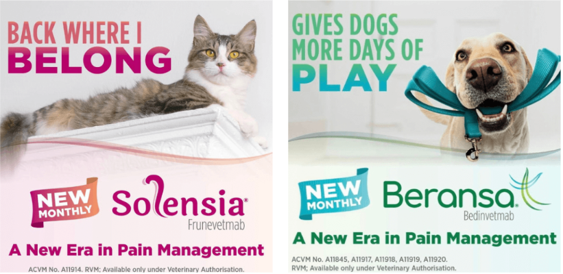 Two pet medication ads: cat returns home in pink, dog plays in blue; Solensia and Beransa logos.
