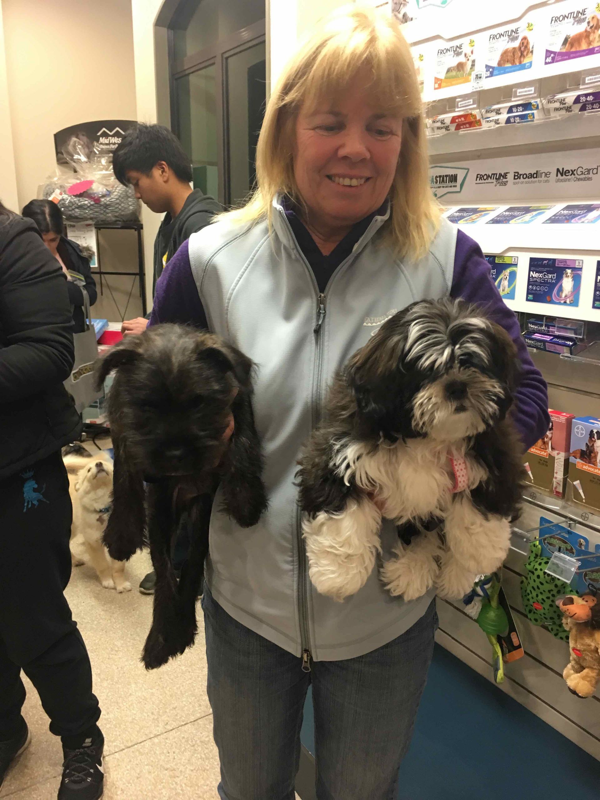 Woman in a pet store holding two small black-and-white dogs, smiling at the camera.