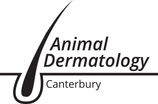 Animal Dermatology Canterbury logo in black and gray with stylized animal tail mark