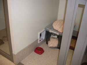Small pet corner with a red food bowl, crate bed, and a wall-mounted pet door in a hallway.