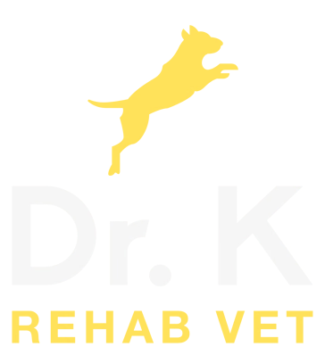 Yellow dog silhouette above faint “Dr. K” and “REHAB VET” text logo