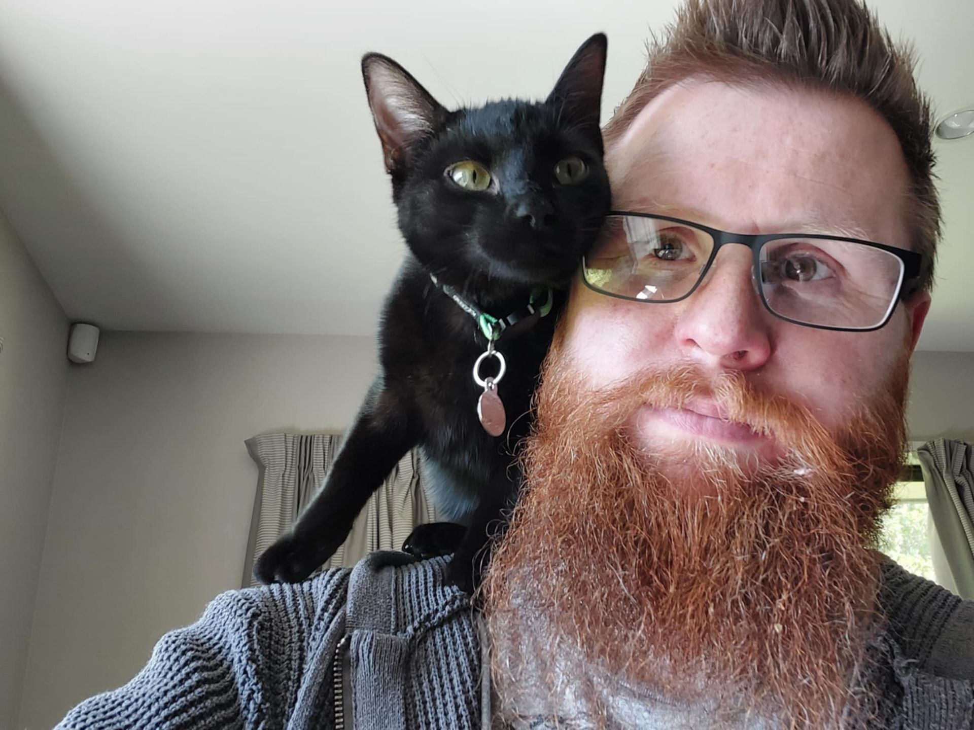 Black cat perched on a bearded man’s shoulder indoors, both looking at the camera.