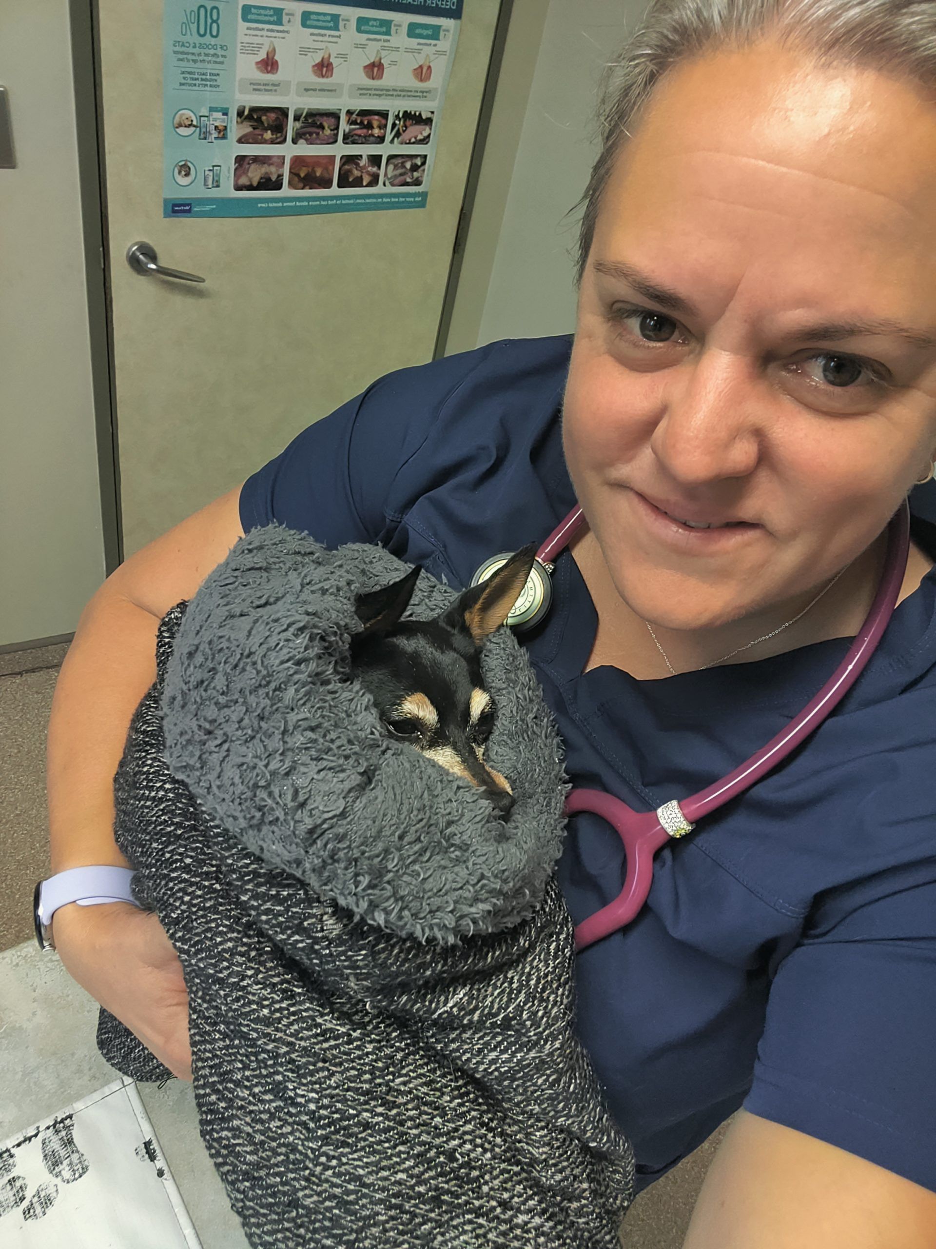Person in navy scrubs holding a small gray-and-black cat wrapped in a blanket, with a stethoscope around their neck.