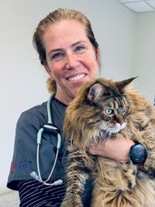 Veterinarian holding a fluffy brown cat in a clinic, smiling at the camera.