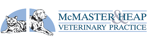 McMaster Heap Veterinary Practice logo with two dogs beside blue text and a blue-gray banner