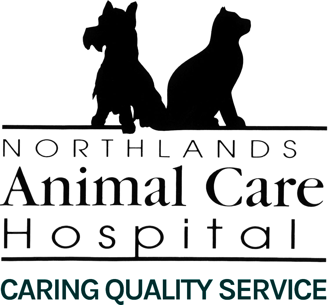 Northlands Animal Care Hospital logo with black cat and dog silhouettes and maroon tagline “Caring Quality Service”