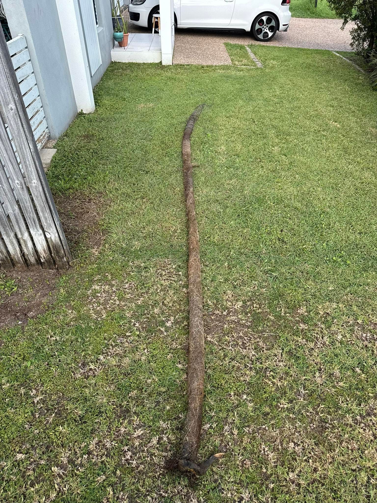 Narrow brown trench line across a grassy yard beside a fence and driveway.