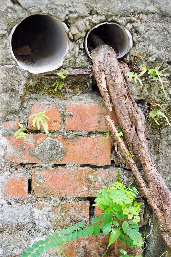 A Clog in Two Pipes Coming Out of It — Hoges Plumbing In West Wollongong, NSW