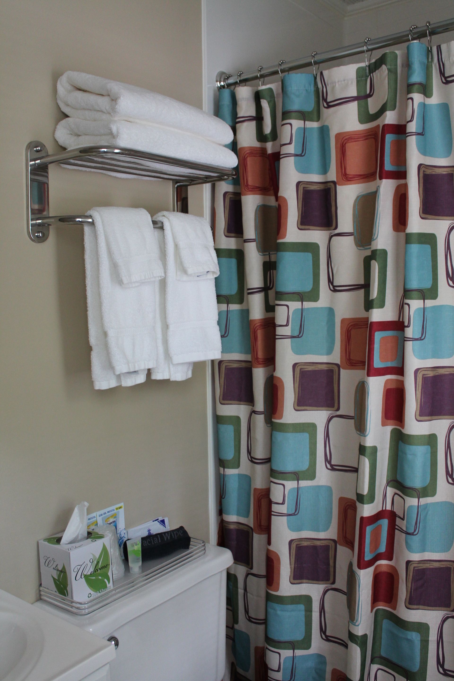 Bathroom with white towels on a chrome rack, printed shower curtain, and tissue box on the toilet.