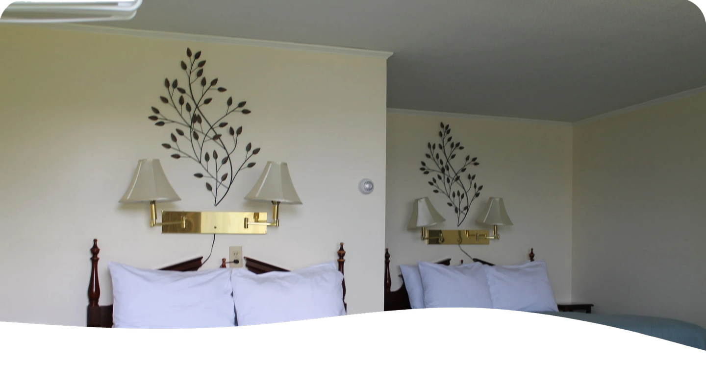 Two beds in a motel room with leaf design on the wall, lamps and white bedding.