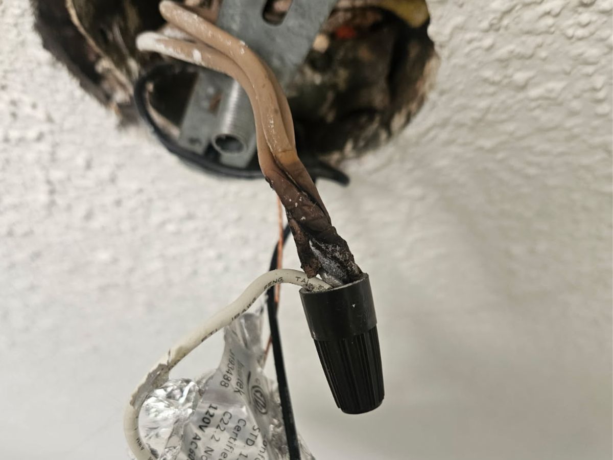 Charred wire splice inside a ceiling junction box in an Edmonton home