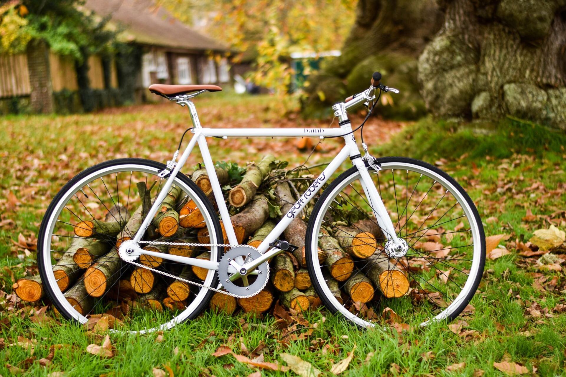 White bicycle with brown saddle propped against a stack of firewood in a grassy yard.