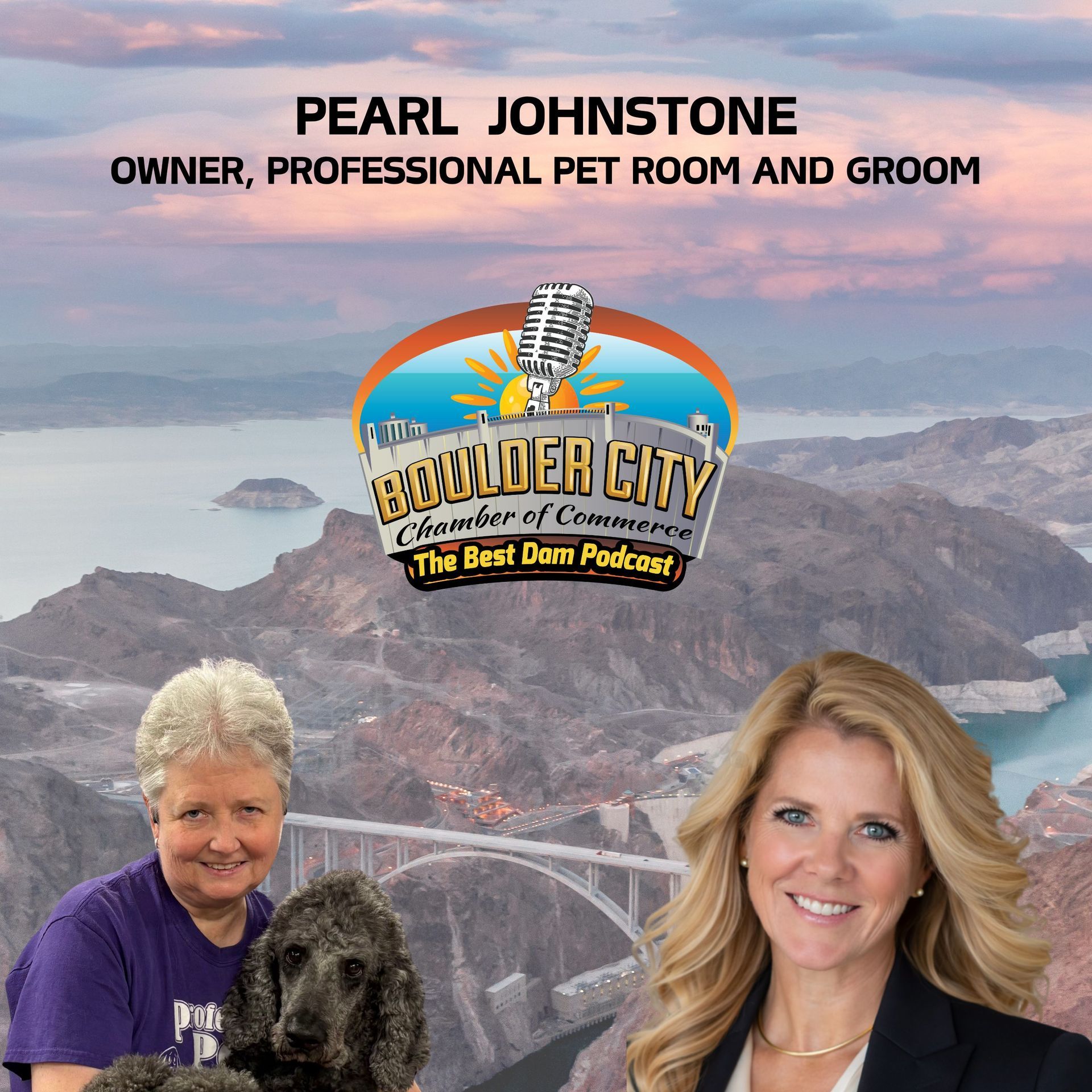 The Best Dam Podcast episode artwork featuring Professional Pet Room and Groom