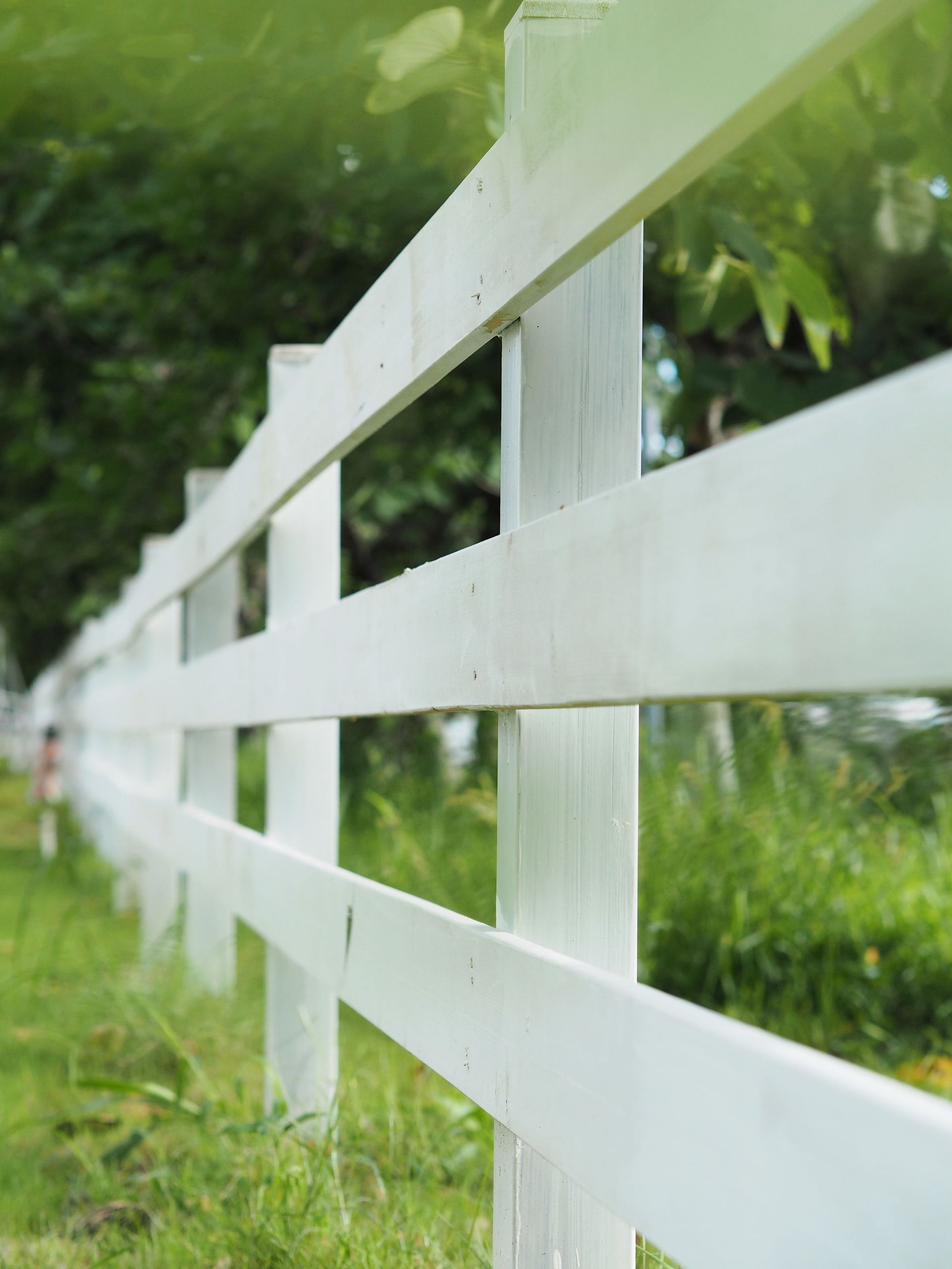 White wooden fence in a grassy green yard with blurred trees in the background