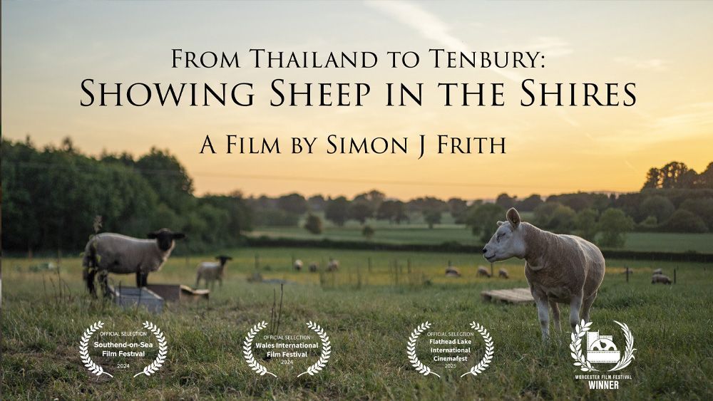 Film poster: sheep in a field at sunset, title 