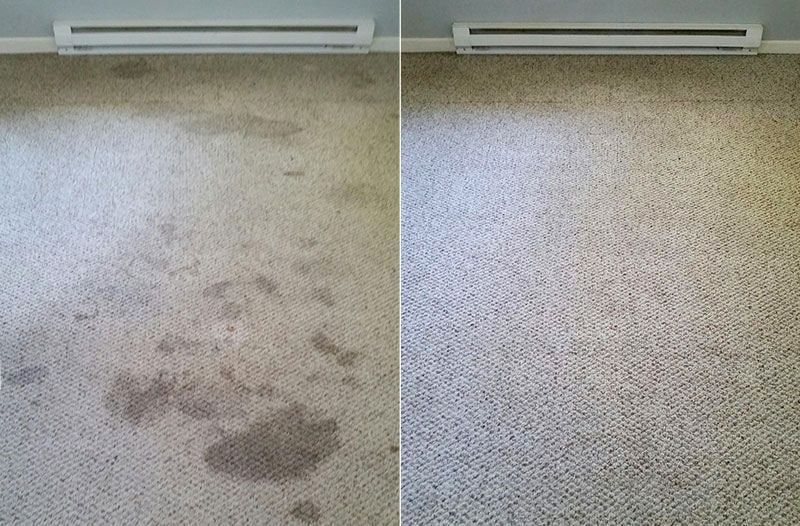 Carpet before-and-after cleaning: left shows dark stains, right looks clean and evenly colored.