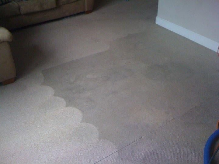 Beige carpet with visible stains near a couch and wall trim in a living room.