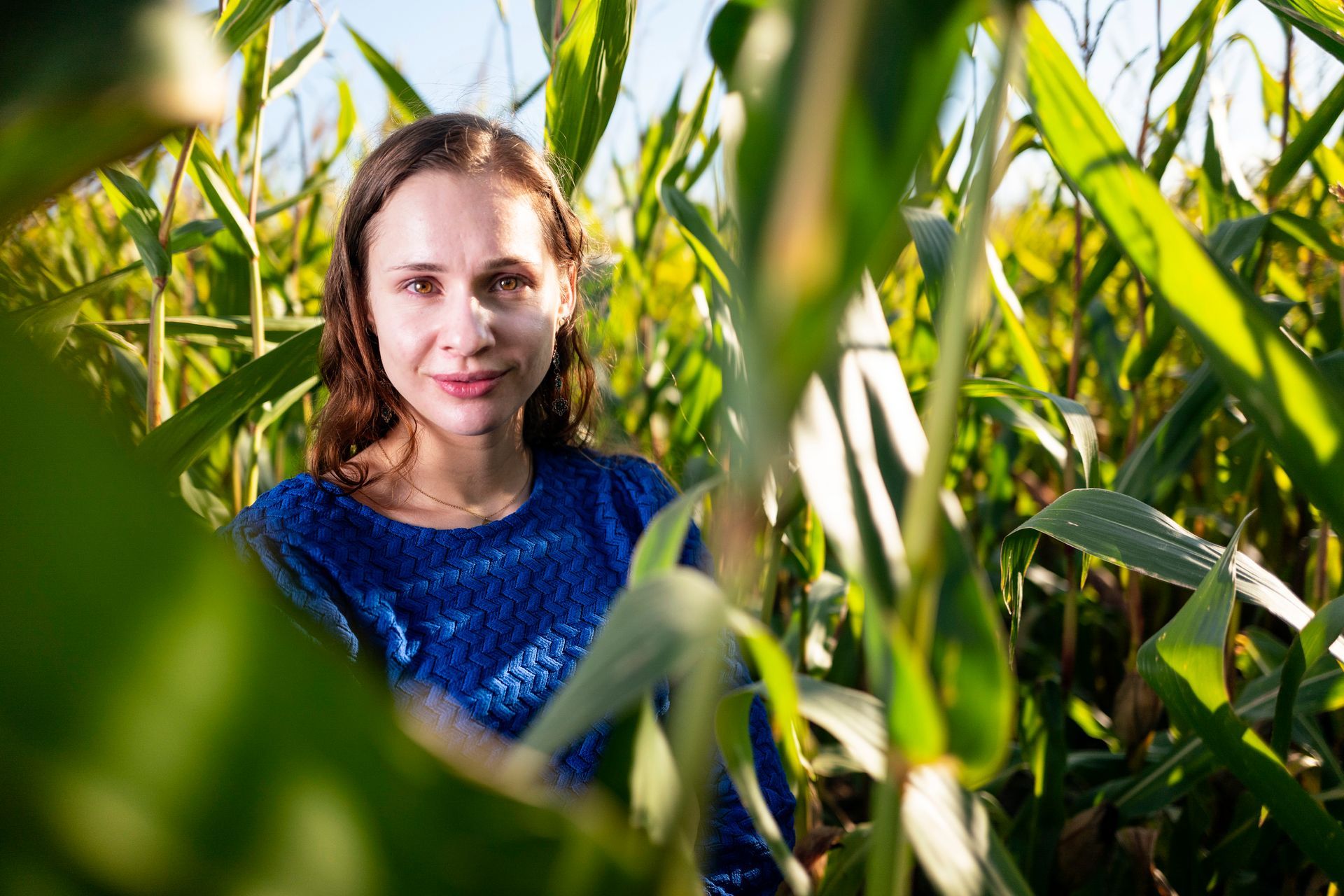 Vrouw in blauwe top lacht in een maïsveld, omringd door groene stengels.
