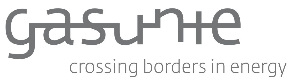 Gasunie-logo: grijze tekst, 