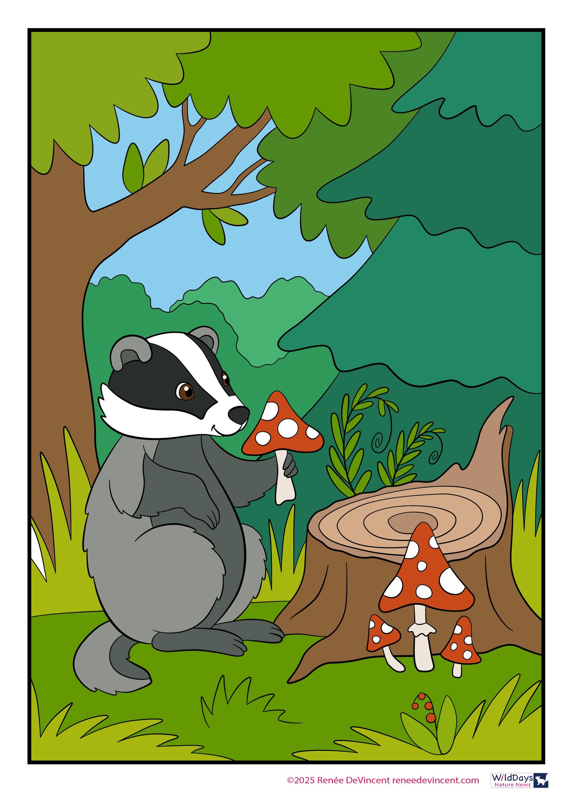 Badger holding a red mushroom with white spots near a tree stump in a forest.