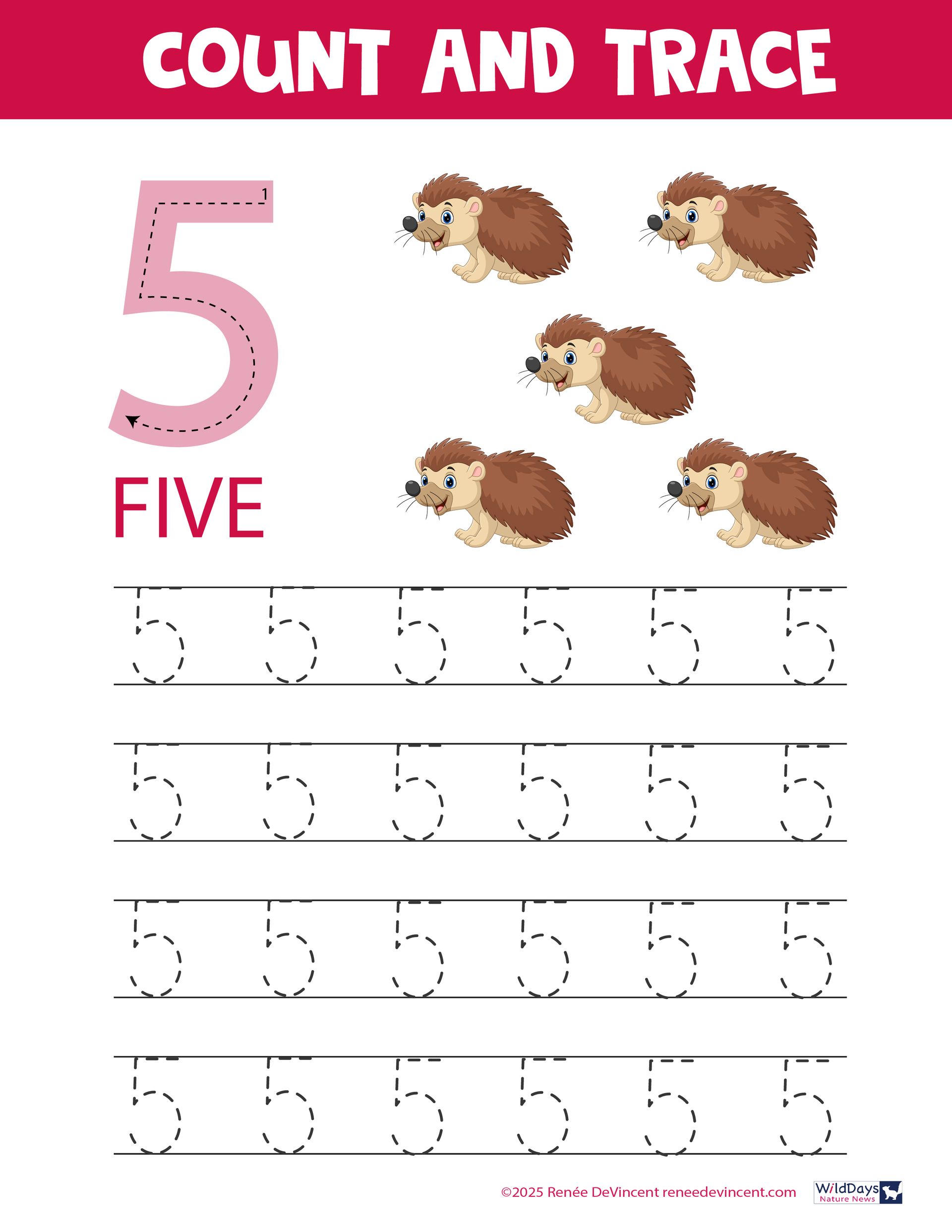 Educational worksheet counting five hedgehogs. Tracing the number 
