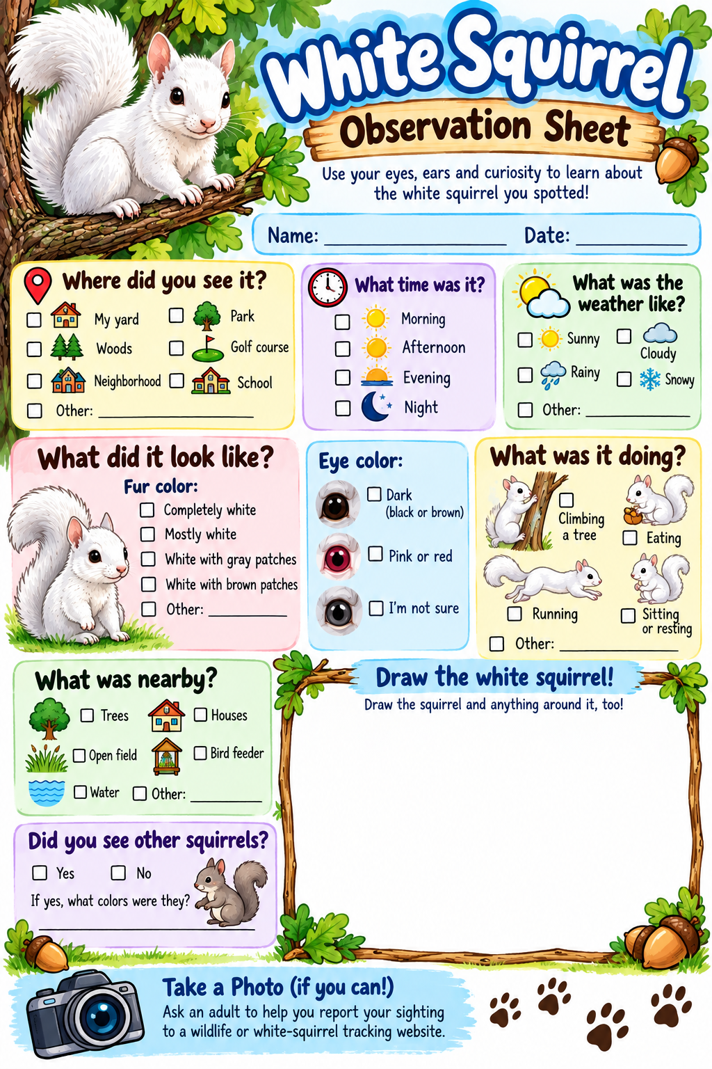 White Squirrel Observation Sheet