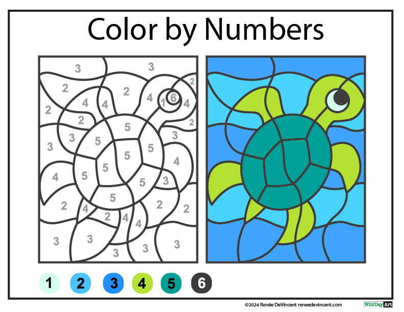 Color-by-numbers worksheet: a turtle with numbered sections to color. Key shows colors for each number.