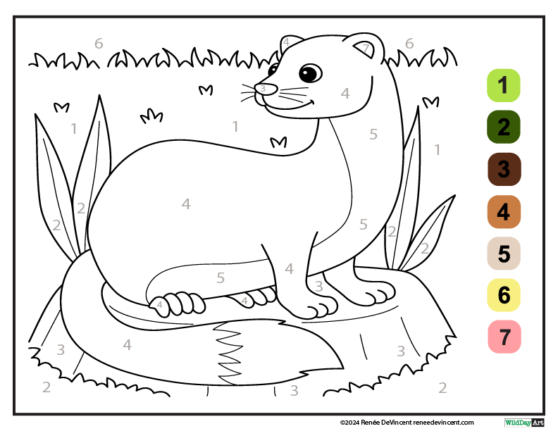 A color by number page with a ferret sitting on a rock.