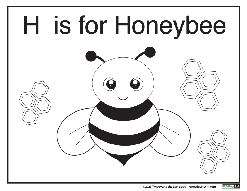 Coloring page: Honeybee with black stripes, antennae, and honeycomb shapes; 