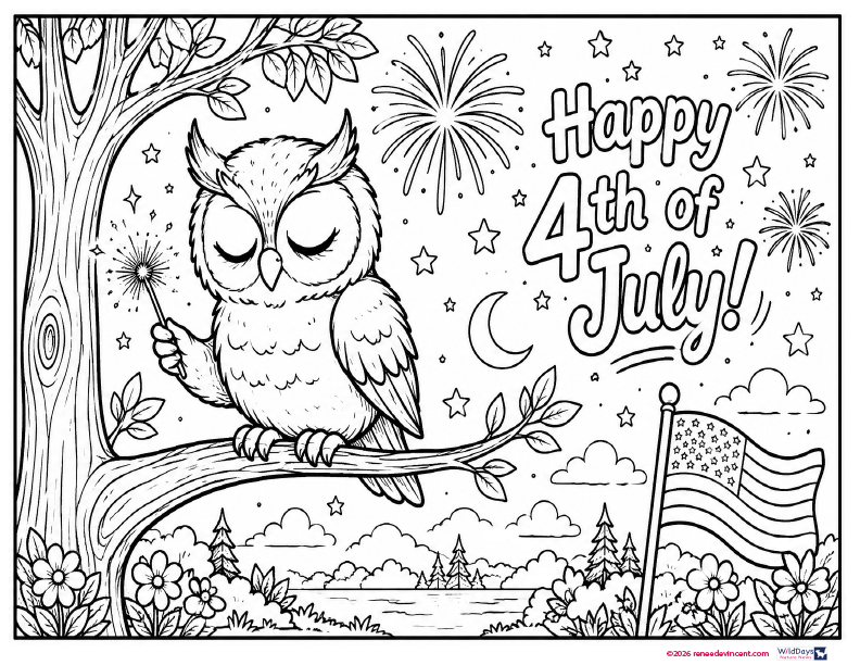 Coloring page owl on a branch with fireworks, moon, flowers, and a “Happy 4th of July!” message and U.S. flag