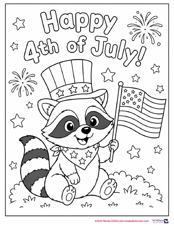 Cute raccoon in Uncle Sam hat holding U.S. flag with “Happy 4th of July!” text and fireworks.