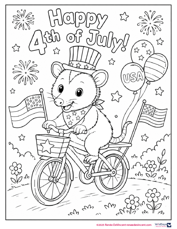 4th of July coloring page with a mouse in a top hat riding a bicycle with flags and stars