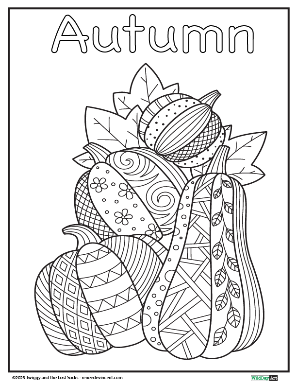 Black and white coloring page: Autumn pumpkins with intricate patterns and leaves.