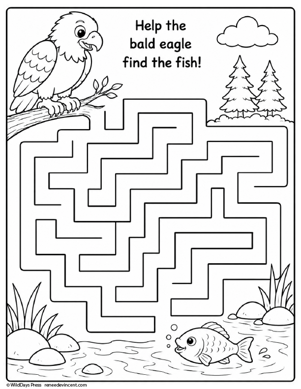 Bald eagle maze puzzle with the text “Help the bald eagle find the fish!” and a fish at the bottom.
