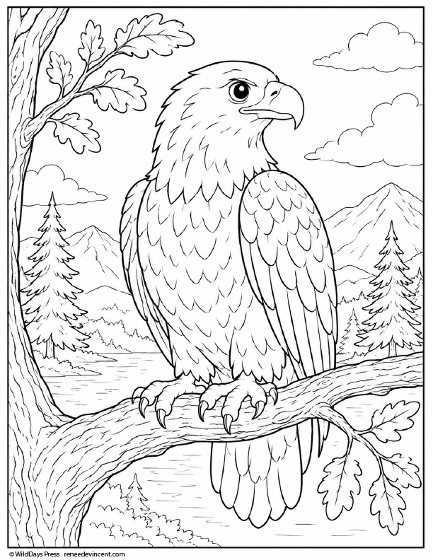 Coloring Page of an eagle perched on a tree branch with pine trees and clouds in the background.
