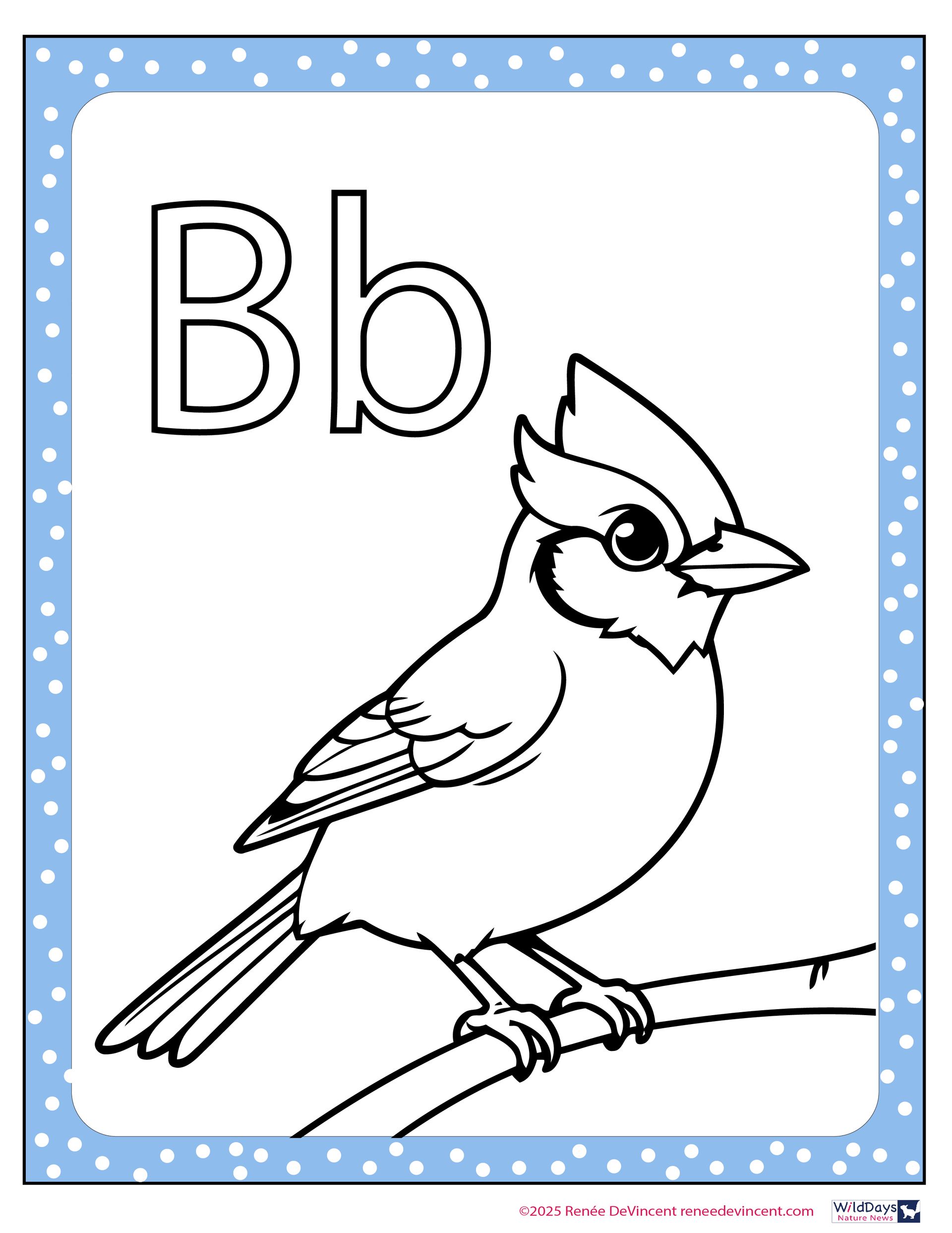 Bluebird sitting on a branch, with the letter B.