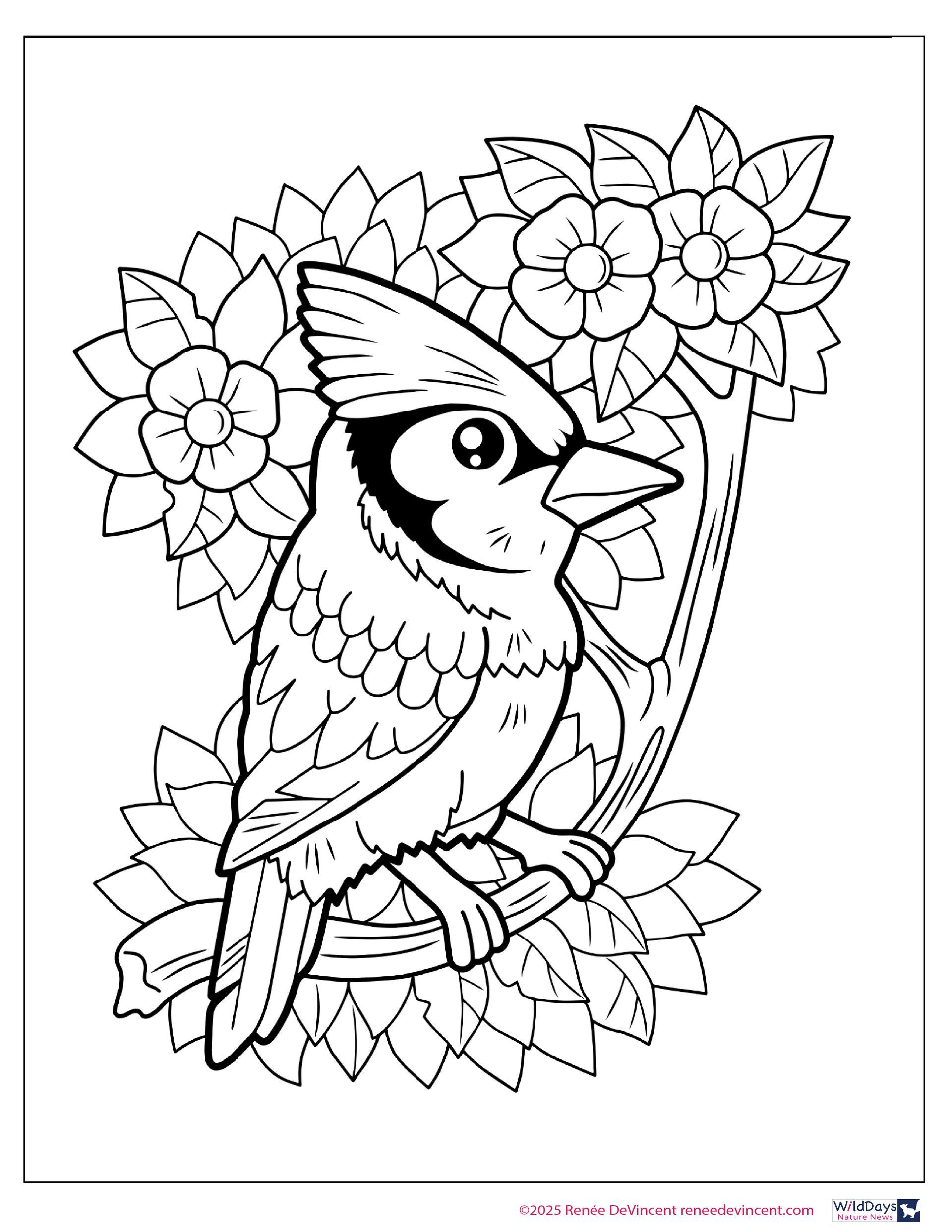 A cartoon blue jay perched on a branch surrounded by flowers and leaves, coloring page.