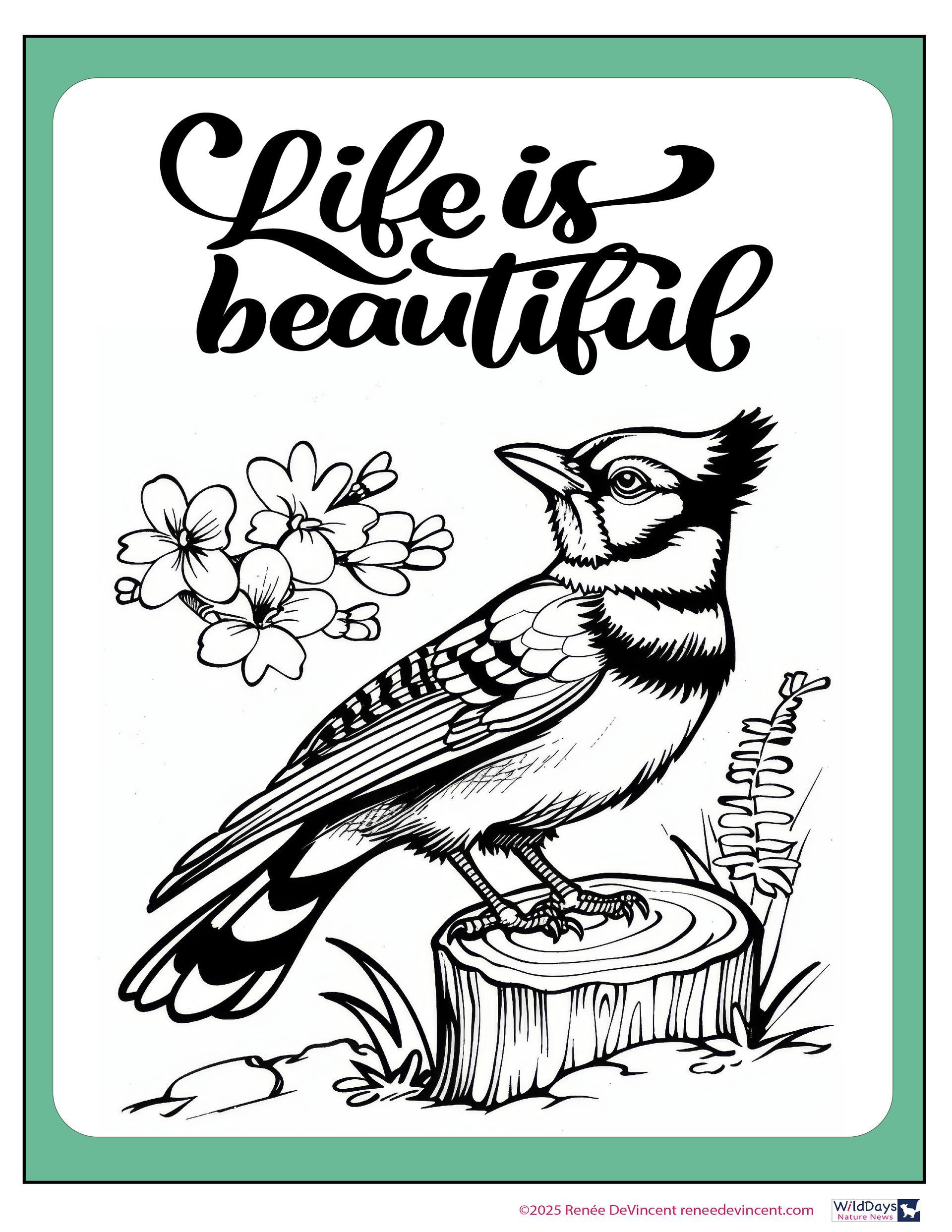 Black and white drawing of a bird, tree stump, flowers, and the words 