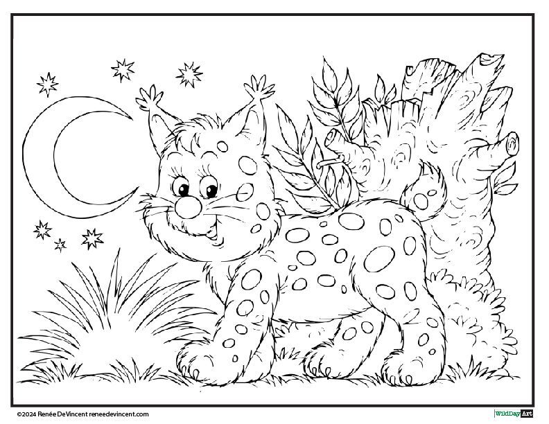 Cartoon lynx with spots, moon, stars, and foliage.