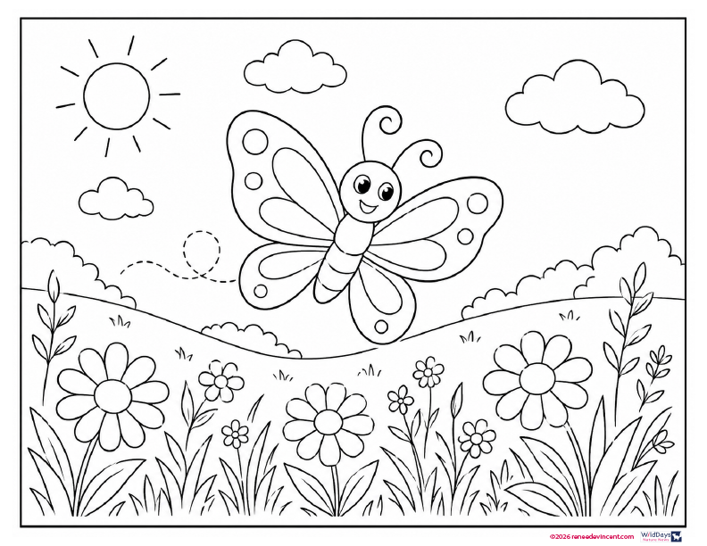 Butterfly smiling over flowers in a sunny sky with clouds, drawn in black-and-white coloring-book style