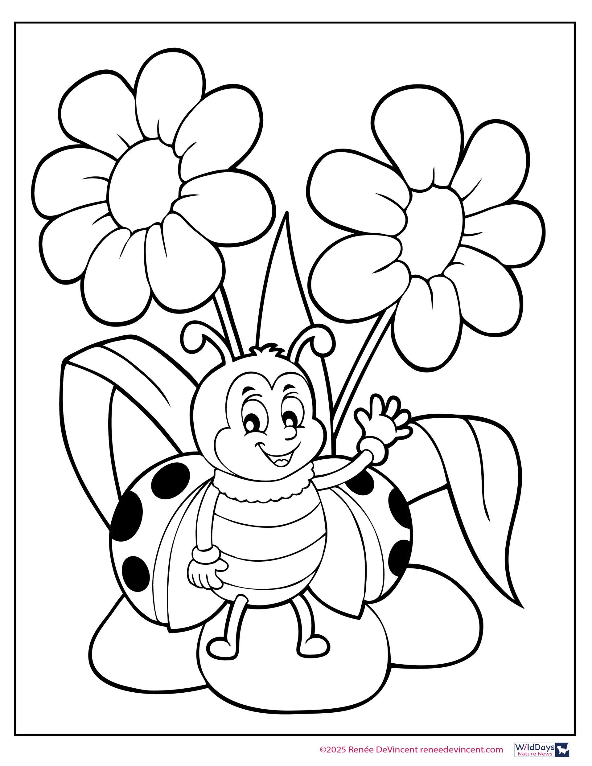 Ladybug waving, standing on flower, with two large flowers in the background.